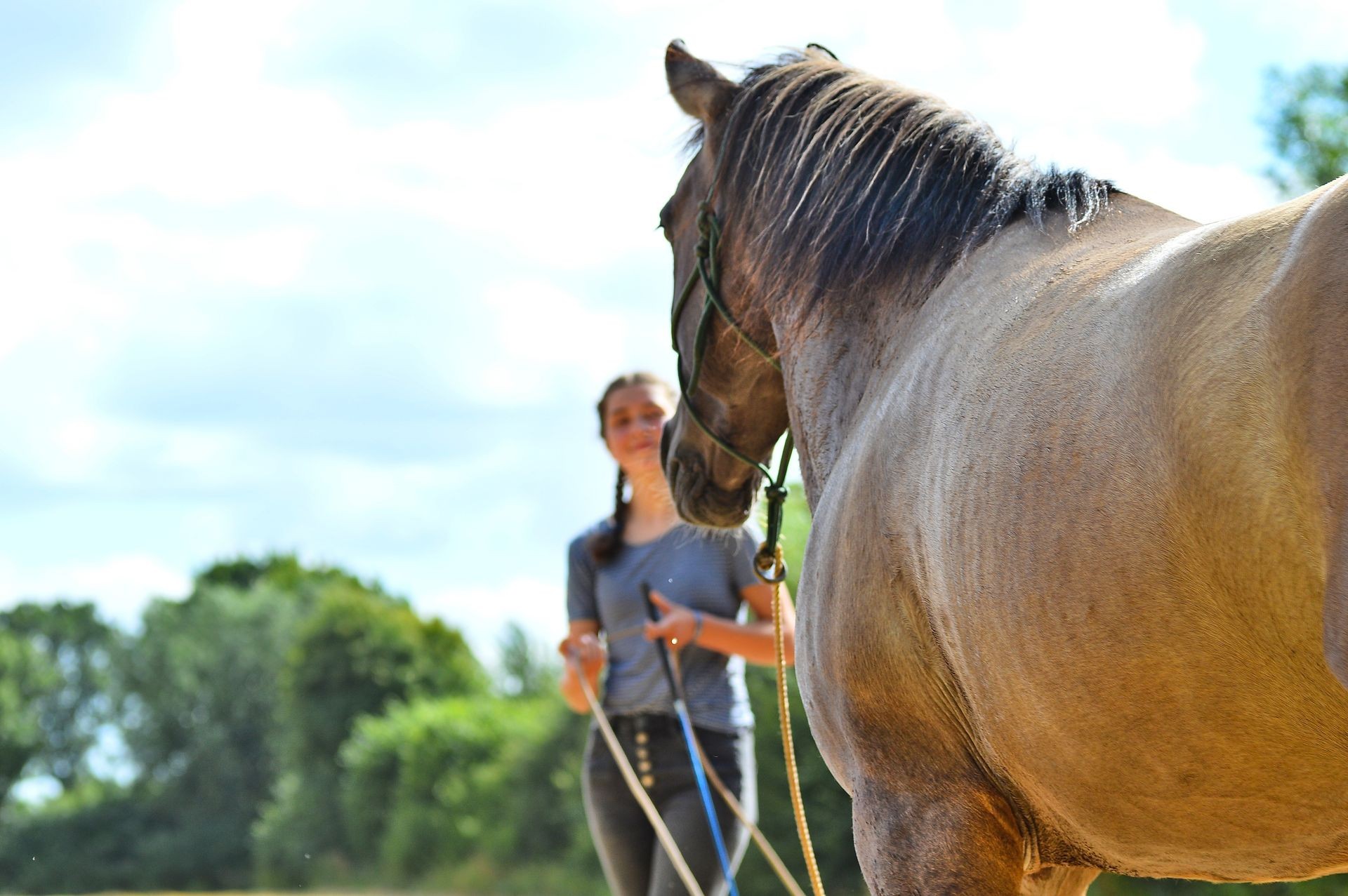 Unterricht am Boden und beim Reiten